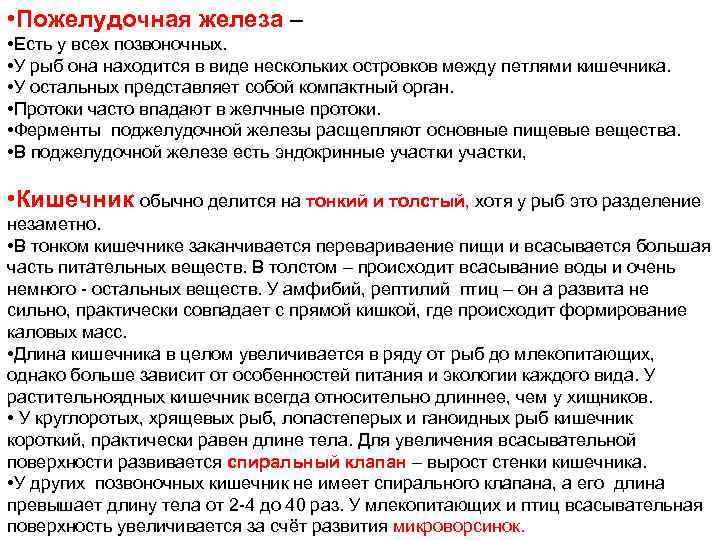  • Пожелудочная железа – • Есть у всех позвоночных. • У рыб она