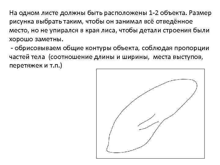 На одном листе должны быть расположены 1 -2 объекта. Размер рисунка выбрать таким, чтобы