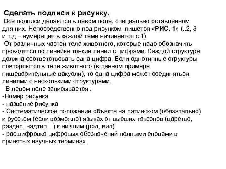 Сделать подписи к рисунку. Все подписи делаются в левом поле, специально оставленном для них.