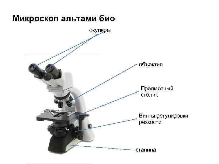 Микроскоп альтами био окуляры объектив Предметный столик Винты регулировки резкости станина 