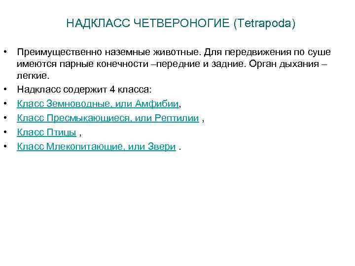 НАДКЛАСС ЧЕТВЕРОНОГИЕ (Tetrapoda) • Преимущественно наземные животные. Для передвижения по суше имеются парные конечности