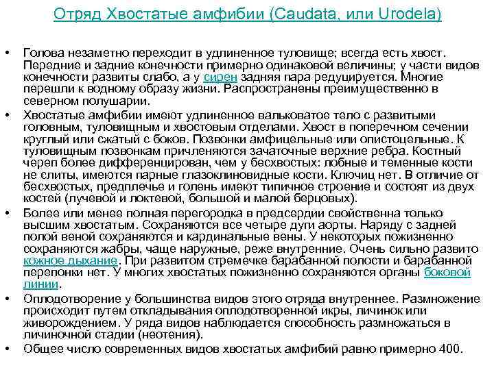 Отряд Хвостатые амфибии (Caudata, или Urodela) • • • Голова незаметно переходит в удлиненное
