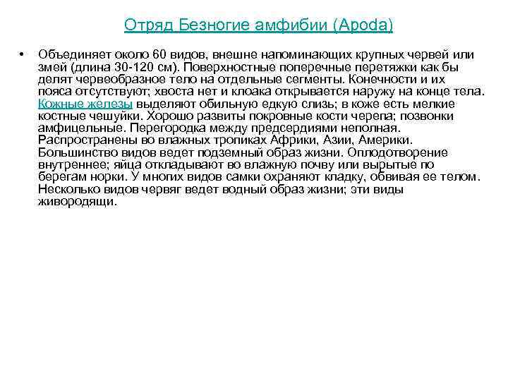 Отряд Безногие амфибии (Apoda) • Объединяет около 60 видов, внешне напоминающих крупных червей или