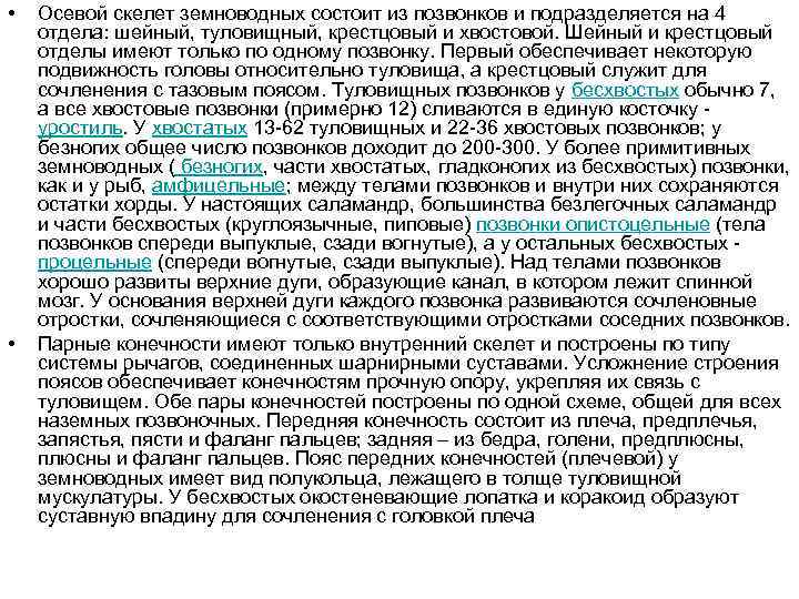  • • Осевой скелет земноводных состоит из позвонков и подразделяется на 4 отдела: