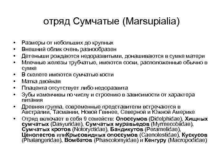 отряд Сумчатые (Marsupialia) • • • Размеры от небольших до крупных Внешний облик очень