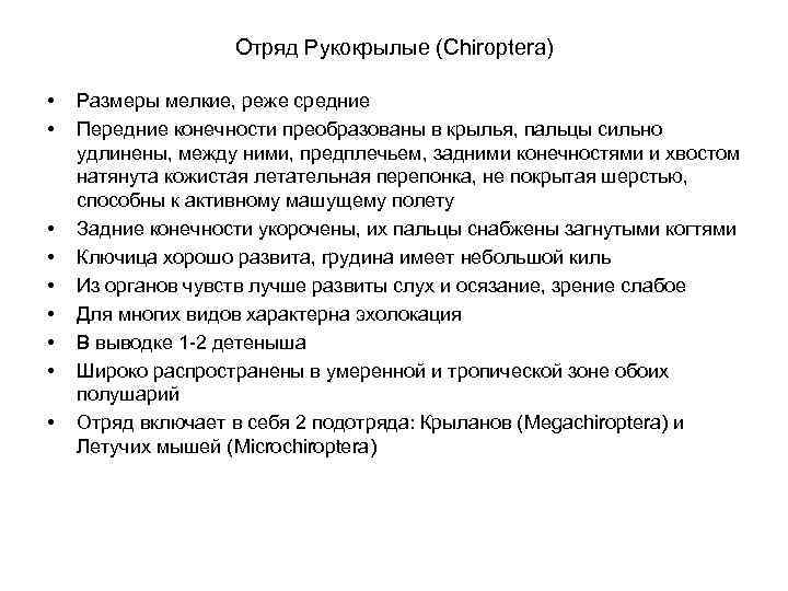 Отряд Рукокрылые (Chiroptera) • • • Размеры мелкие, реже средние Передние конечности преобразованы в