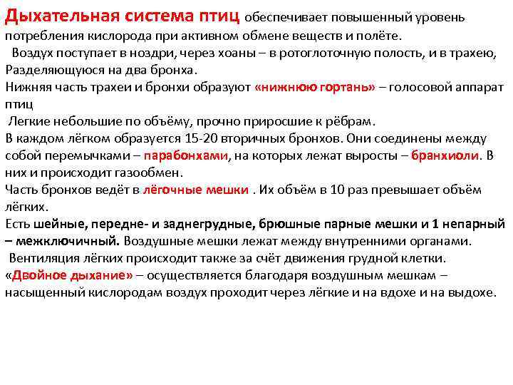 Дыхательная система птиц обеспечивает повышенный уровень потребления кислорода при активном обмене веществ и полёте.