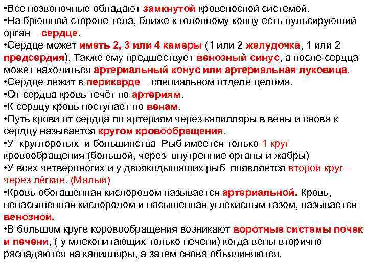  • Все позвоночные обладают замкнутой кровеносной системой. • На брюшной стороне тела, ближе