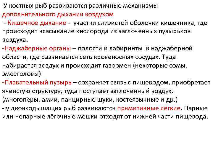 У костных рыб развиваются различные механизмы дополнительного дыхания воздухом - Кишечное дыхание - участки