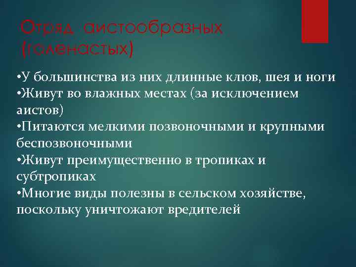 Отряд аистообразных (голенастых) • У большинства из них длинные клюв, шея и ноги •