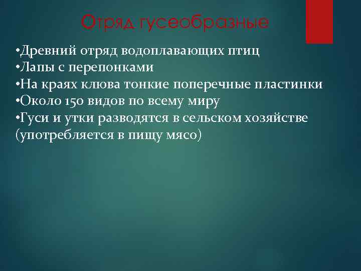 Отряд гусеобразные • Древний отряд водоплавающих птиц • Лапы с перепонками • На краях