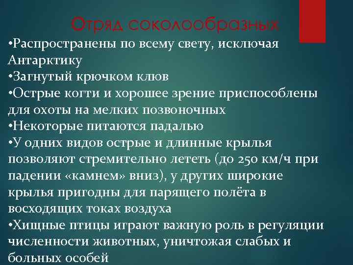 Отряд соколообразных • Распространены по всему свету, исключая Антарктику • Загнутый крючком клюв •