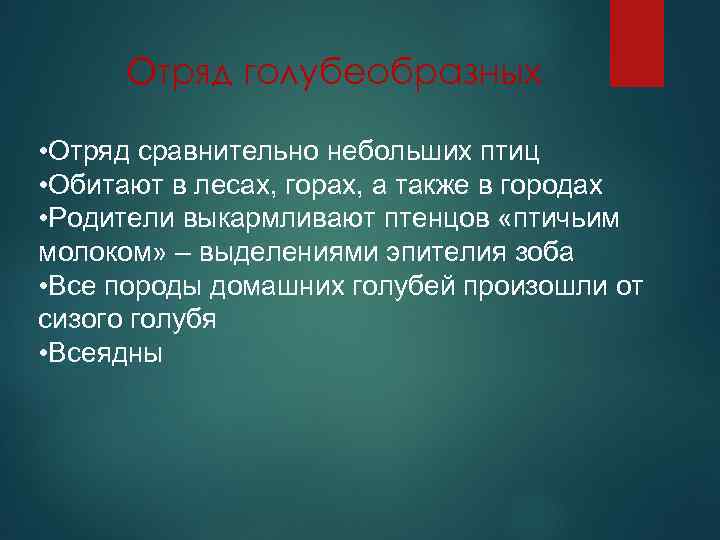 Отряд голубеобразных • Отряд сравнительно небольших птиц • Обитают в лесах, горах, а также