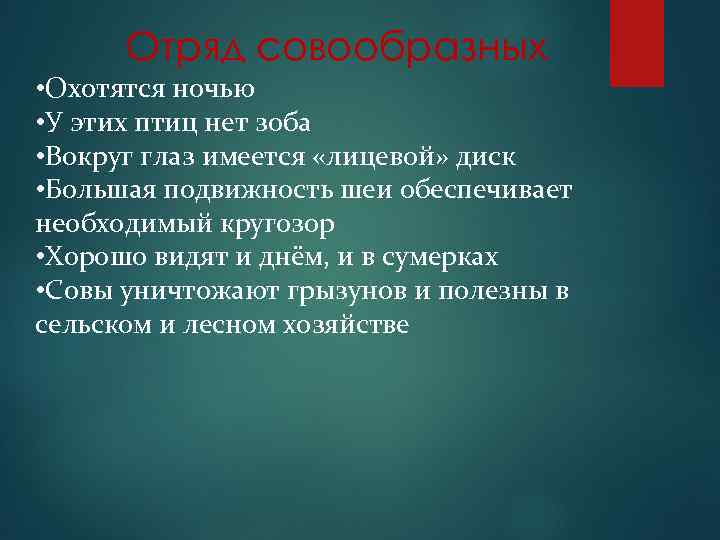 Отряд совообразных • Охотятся ночью • У этих птиц нет зоба • Вокруг глаз