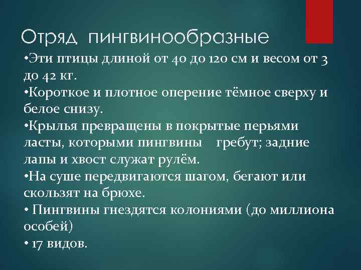 Отряд пингвинообразные • Эти птицы длиной от 40 до 120 см и весом от