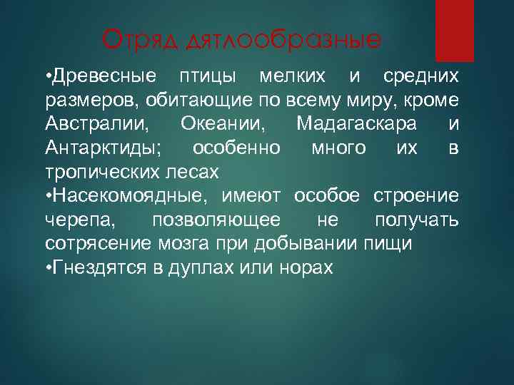 Отряд дятлообразные • Древесные птицы мелких и средних размеров, обитающие по всему миру, кроме