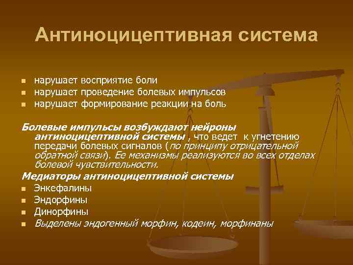 Антиноцицептивная система n n n нарушает восприятие боли нарушает проведение болевых импульсов нарушает формирование