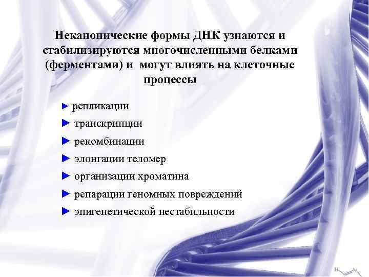 Неканонические формы ДНК узнаются и стабилизируются многочисленными белками (ферментами) и могут влиять на клеточные