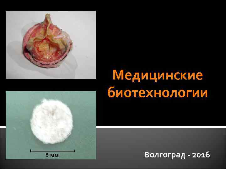  Медицинские биотехнологии Волгоград - 2016 