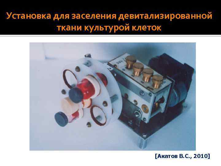 Настоящее и будущее тканевой инженерии трансплантатов клапанов сердца и сосудов. Настоящее: Аллографты без модификации
