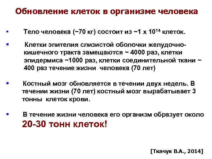  Обновление клеток в организме человека Тело человека (~70 кг) состоит из ~1 х