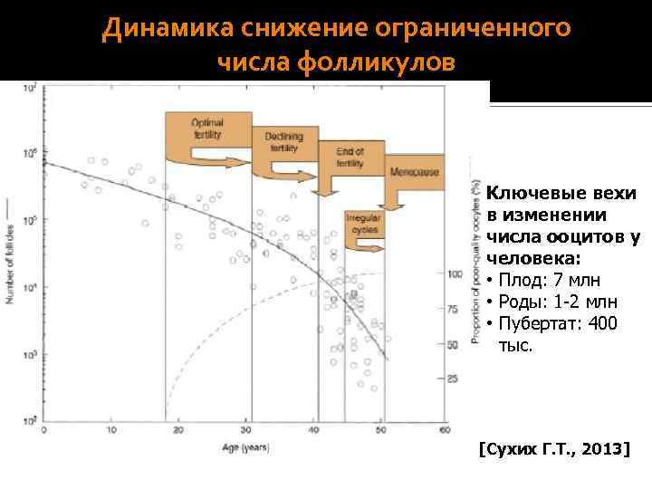  Возможности использования СК в акушерстве Сфероиды из стволовых клеток nestin 7 -9 недель