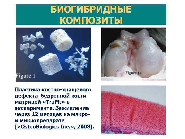  МАТРИЦЫ НА ОСНОВЕ ХИТОЗАНА В лаборатории кафедры последовательно произведены выделение хитина, очистка и