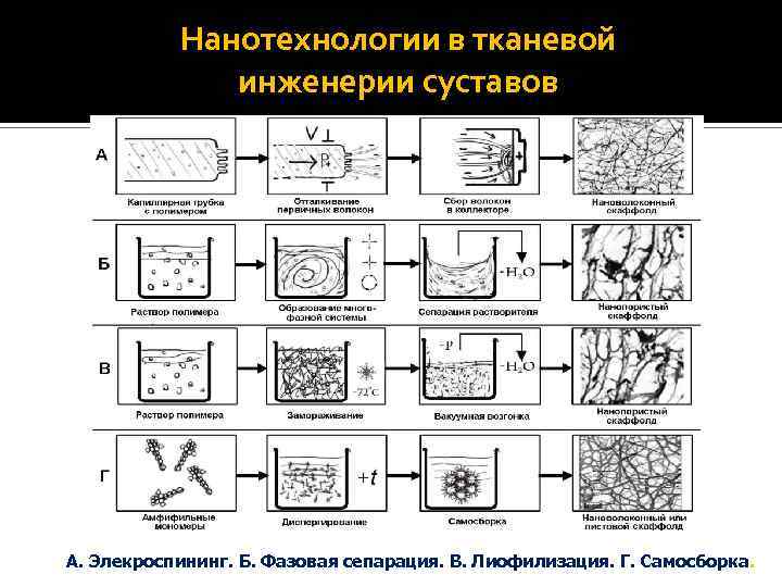  МАТРИЦЫ НА ОСНОВЕ ХИТОЗАНА Доказана биосовместимость полученной матрицы и ее хондроиндуктивные свойства (февраль