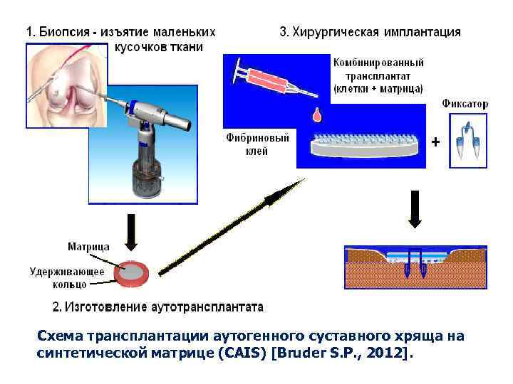 РУКОВОДСТВО ВРАЧАМ Книга издана на средства фирмы Sante Med. Systems, авторы в 2011 году