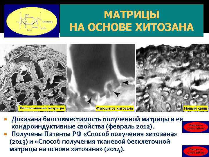  СТИМУЛЯЦИЯ ФАКТОРАМИ РОСТА Общий принцип стимуляции факторами роста при восстановлении повреждений хряща в