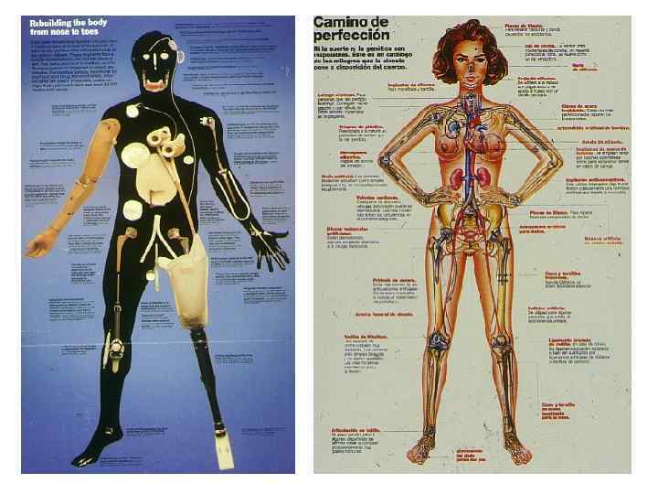 ИСКУССТВЕННЫЙ ХРУСТАЛИК 