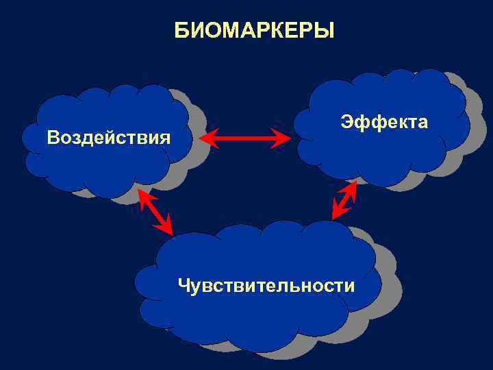 БИОМАРКЕРЫ Воздействия Эффекта Чувствительности 