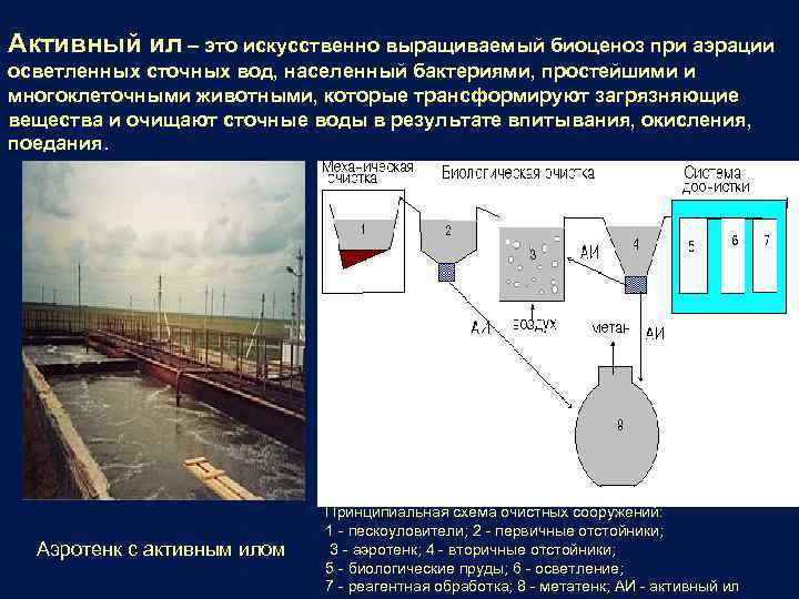 Активный ил – это искусственно выращиваемый биоценоз при аэрации осветленных сточных вод, населенный бактериями,