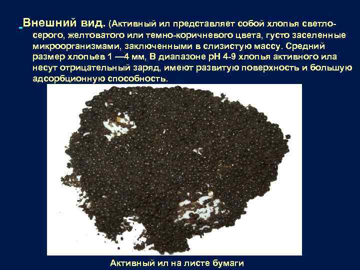 Внешний вид. (Активный ил представляет собой хлопья светлосерого, желтоватого или темно-коричневого цвета, густо заселенные