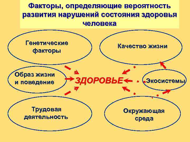 Факторы, определяющие вероятность развития нарушений состояния здоровья человека Генетические факторы Образ жизни и поведение