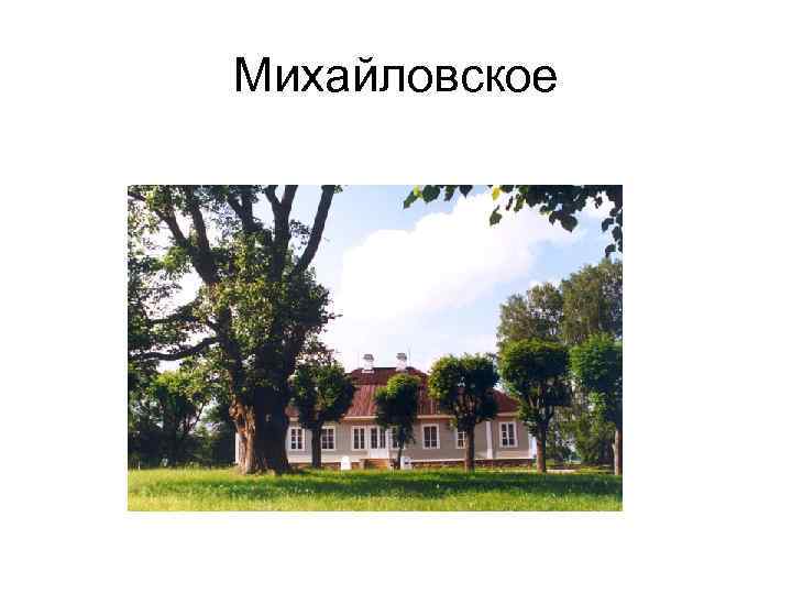 Михайловское 