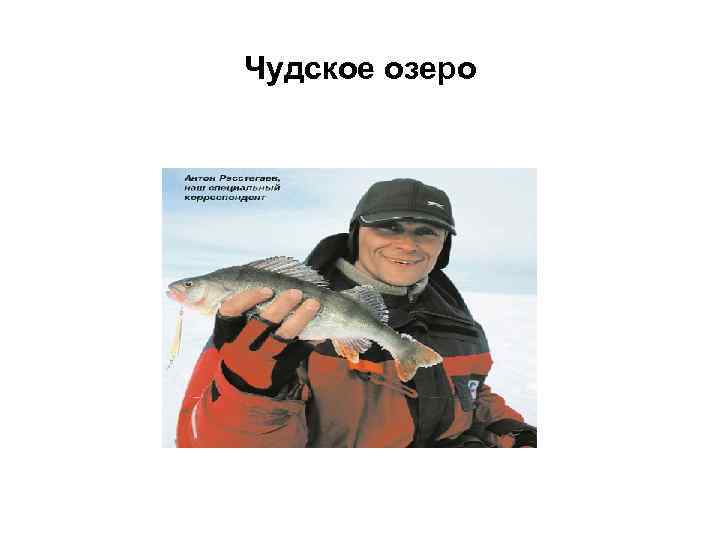 Чудское озеро 