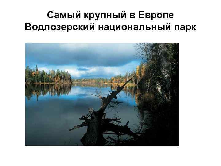 Самый крупный в Европе Водлозерский национальный парк 