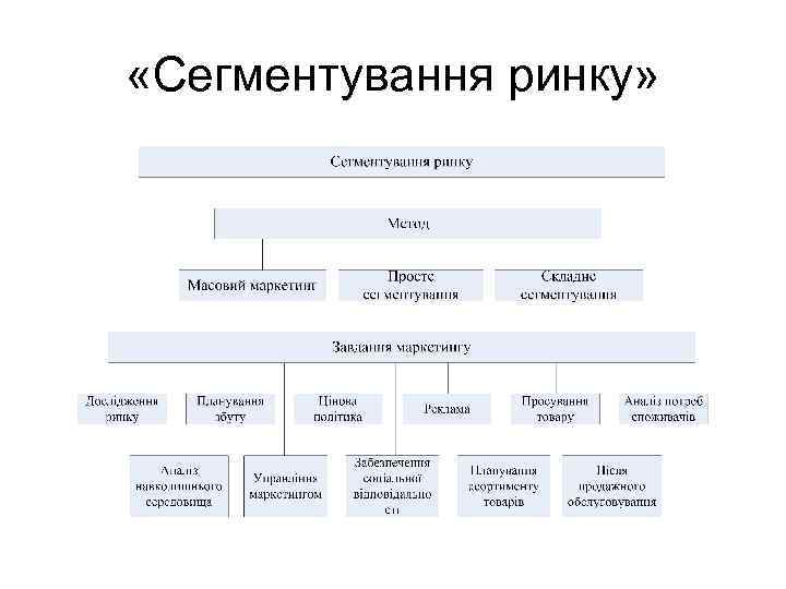  «Сегментування ринку» 