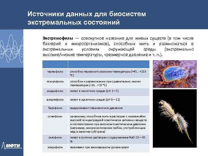 Источники данных для биосистем экстремальных состояний Экстремофилы — совокупное название для живых существ (в