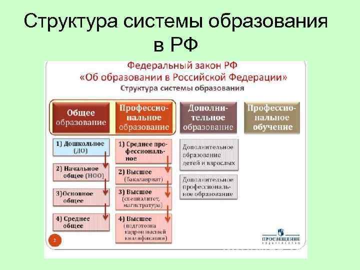 Структура системы образования в РФ 