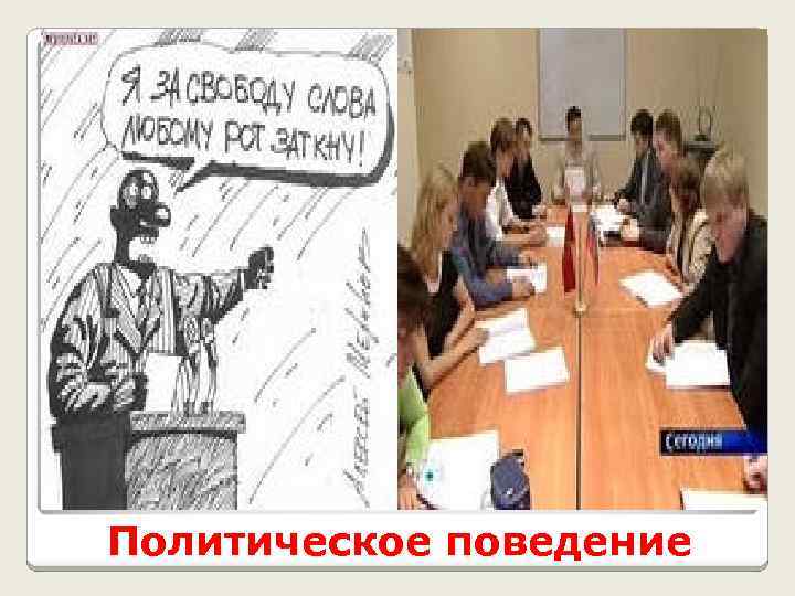 Политическое поведение 