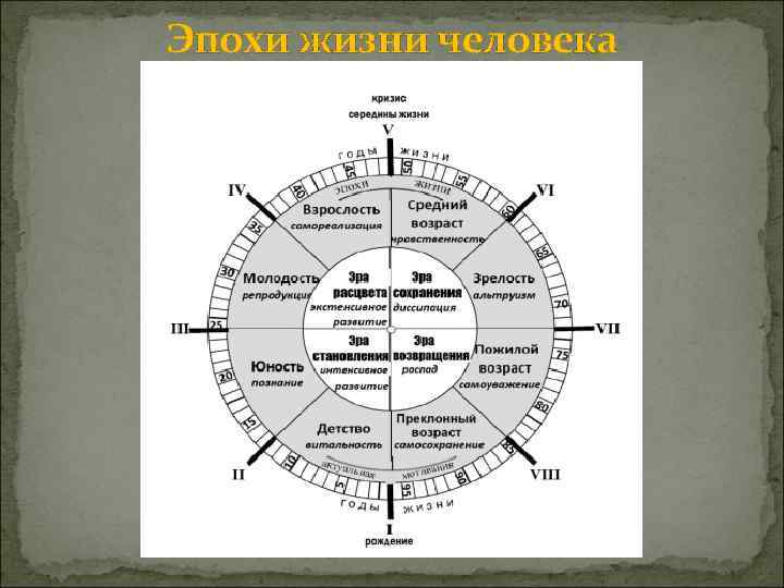 Эпохи жизни человека 