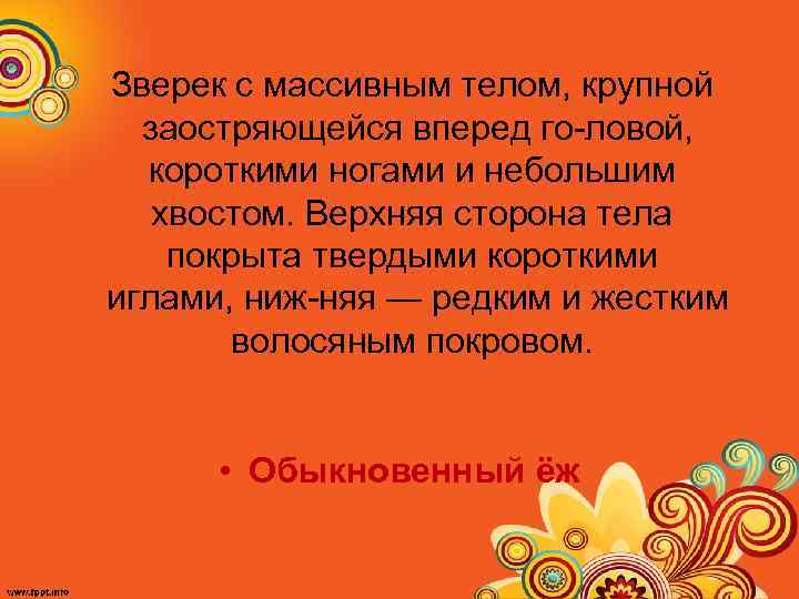 Зверек с массивным телом, крупной заостряющейся вперед го ловой, короткими ногами и небольшим хвостом.