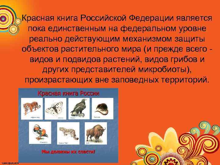 Красная книга Российской Федерации является пока единственным на федеральном уровне реально действующим механизмом защиты