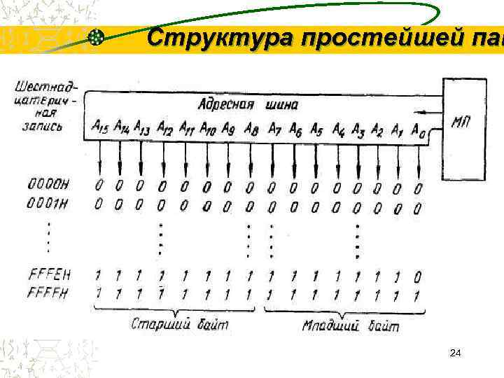 Структура простейшей пам    24 