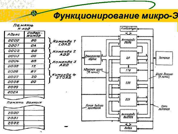 Логическое устройство компьютера