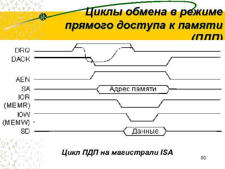   Циклы обмена в режиме прямого доступа к памяти    