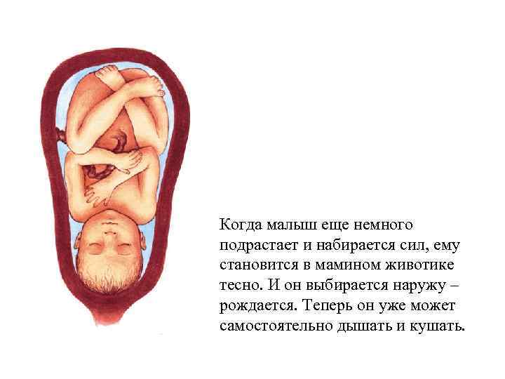 Когда малыш еще немного подрастает и набирается сил, ему становится в мамином животике тесно.