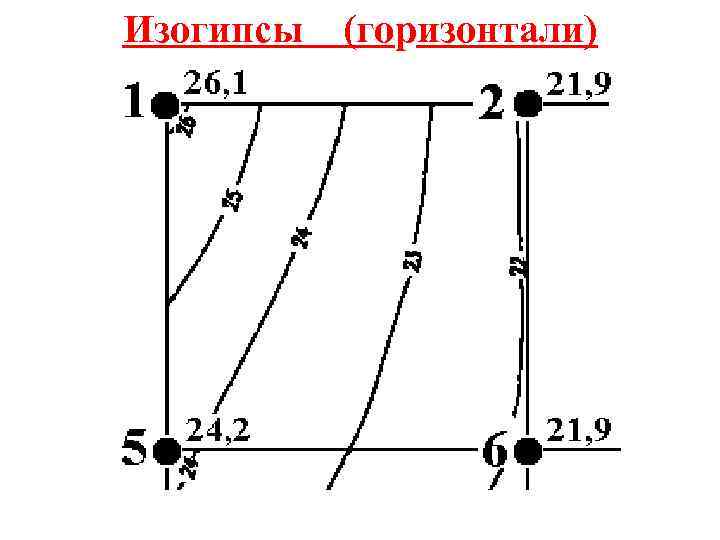 Изогипсы (горизонтали) 